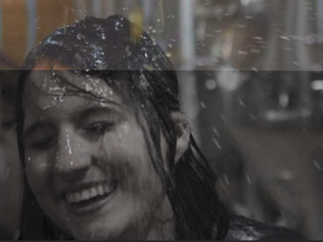 Alpha Brewing Co.'s website featured a woman being drenched in beer.