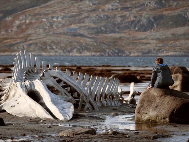 The Rotting Carcass: Russia, a whale and a way of life moulder in Leviathan