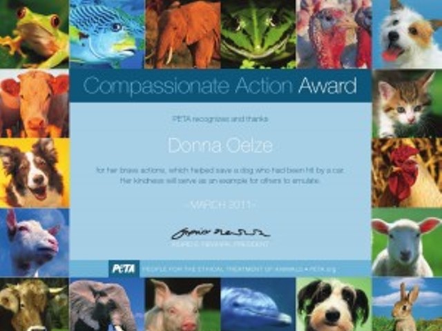 PETA loves Donna Oelze!