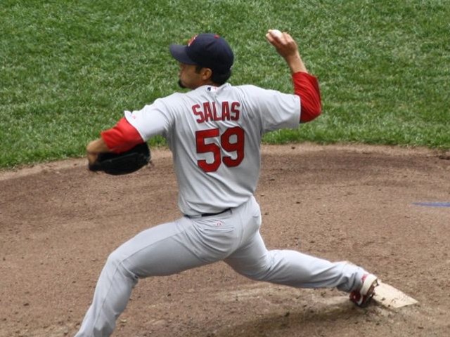 Fernando Salas was just the first in a parade of lifesavers last night for the Redbirds, but may very well have been the most important.
