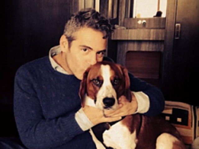 It's puppy love for Andy Cohen and Wacha.