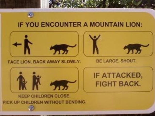 You, too, can survive a mountain lion encounter.
