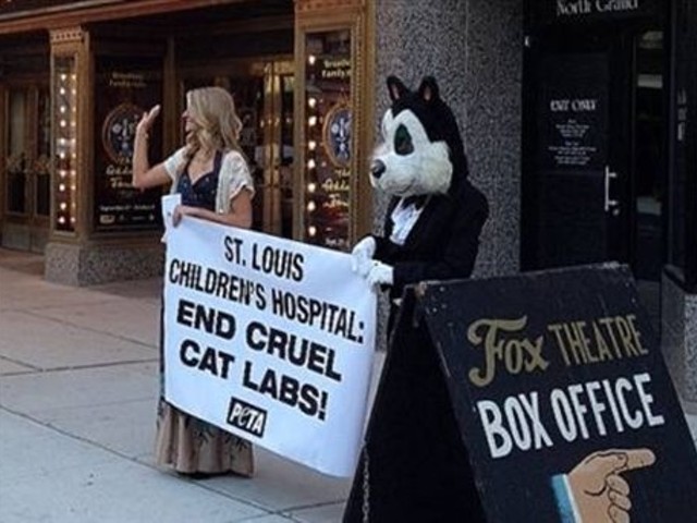 PETA protestors outside a St. Louis Children's Hospital fundraiser last October.