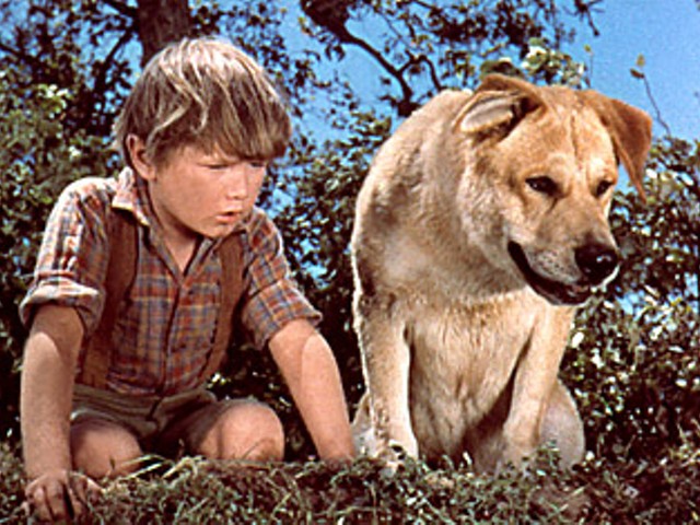 Madison County Man Arrested For Re-Enacting Old Yeller