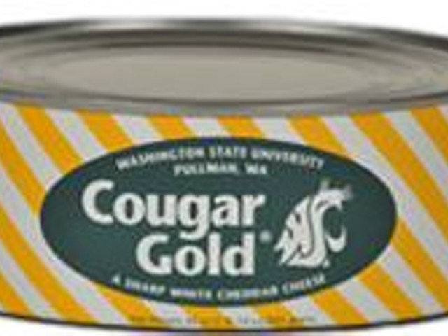 Cougar Gold cheese cans are being recycled into cheesy music.