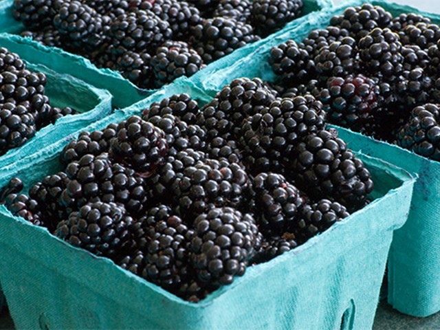Item 36 on the St. Louis area bucket list: Pick fresh fruit at Eckert's!
