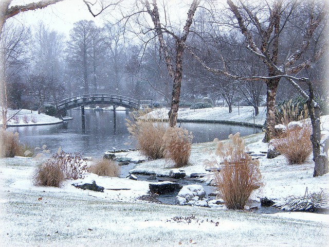 The Missouri Botanical Garden with a fine dusting of snow.