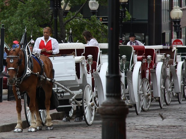 Horse-drawn carriages would be banned under a new proposal from Alderman Joe Vaccaro.