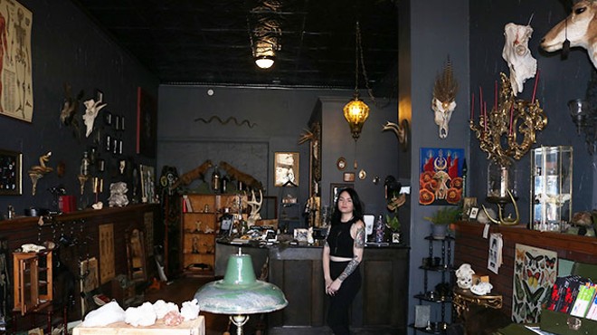 Cassandra Pace's curiosity shop has a particular interest in taxidermy.