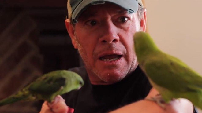 In a recent video, Jamie Allman got pecked by a bird. A very clever metaphor. (Tweeting, get it?)