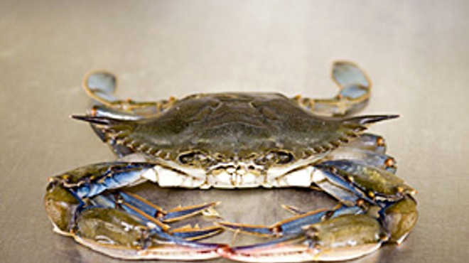 Crab is front and center in several of McCormick & Schmick's dishes.