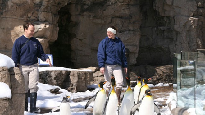 This was actually taken during the big snow in March 2008. Still, the penguins have to be pumped again this year.