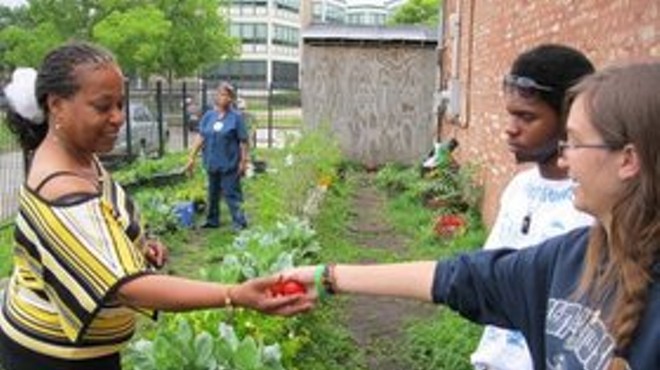 Monsanto's anti-food-desert project up in Chi-town