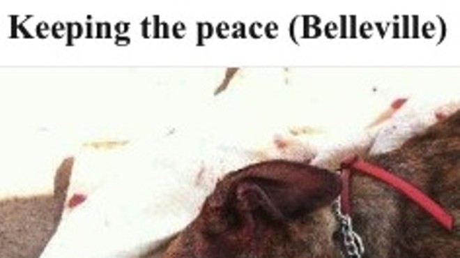 Belleville Craigslist Ad With Graphic Photo of Dead Pet Says: "A Good Dog Is A Quiet Dog"