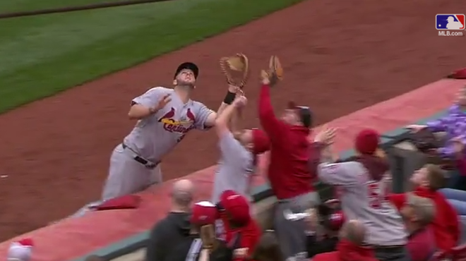 Matt Adams goes for a foul ball, but a Reds fan gets there first.