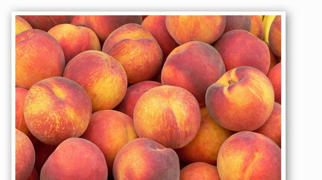 &nbsp;&nbsp;&nbsp;&nbsp;&nbsp;&nbsp;&nbsp;Pick-your-own peaches for 99 cents a pound. | Eckert's