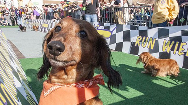 Beggin' Pet Parade and Wiener Dog Derby