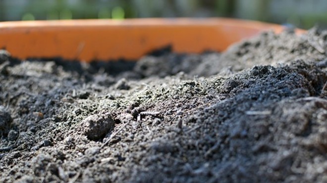Building Healthy Soils
