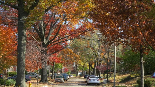 Richmond Heights in the fall: Could anything be more pretty?