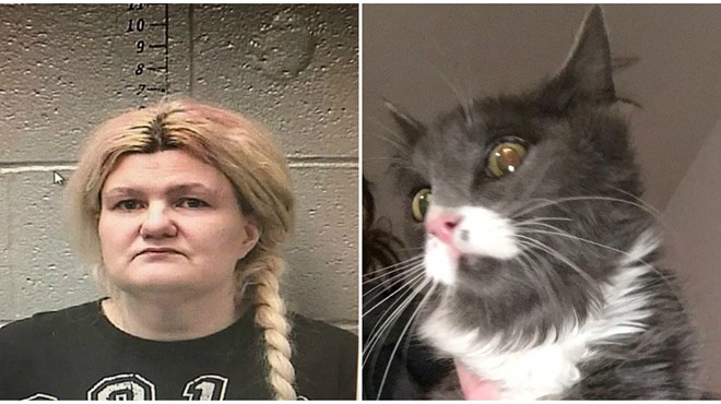 Malissa Ancona hoarded cats for years, animal rescue groups say. Now she's charged with murdering her husband.