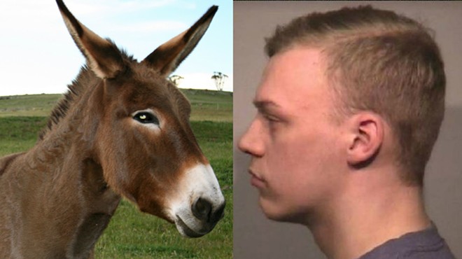 Collinsville Jackass Charged with Punching a Donkey in the Face