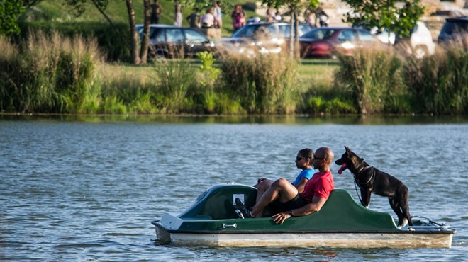 You can take your dog on a paddleboat — or on more than 80 tourist destinations across the city.
