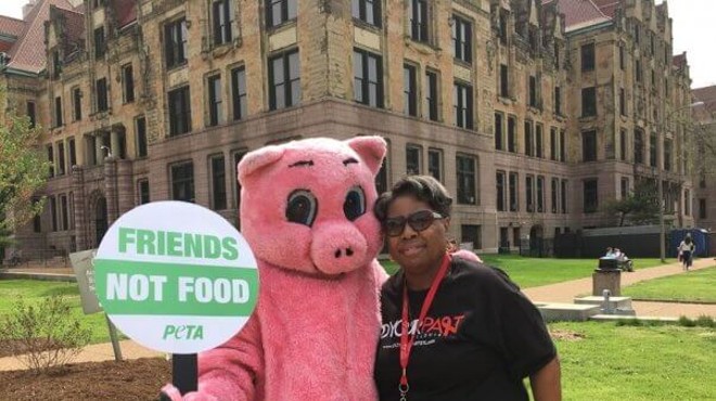PETA Sends a Pig Downtown to Encourage St. Louis to Go Vegan This Easter