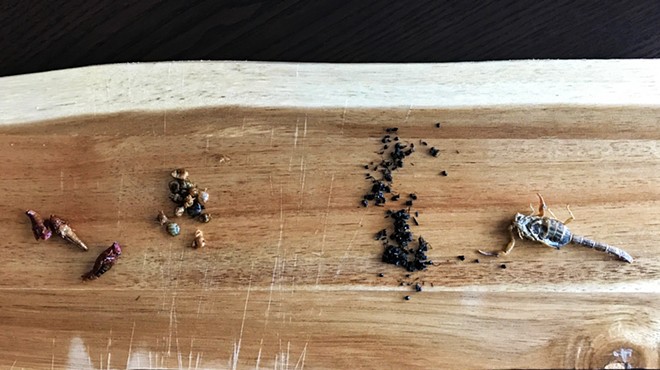For Dinner: 10 Courses of Edible Insects, From Chef Logan Ely