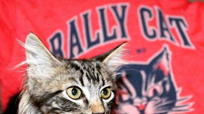 Rally Cat now has legal counsel.