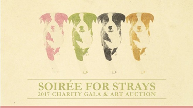 Soiree for Strays Charity Gala & Art Auction
