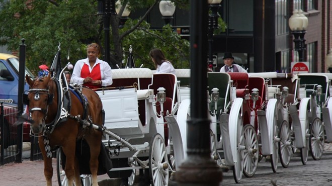 Horse-drawn carriages would be banned under a new proposal from Alderman Joe Vaccaro.