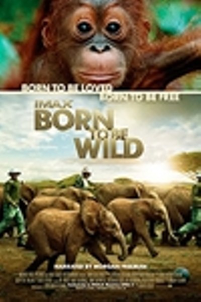 Born To Be Wild IMAX