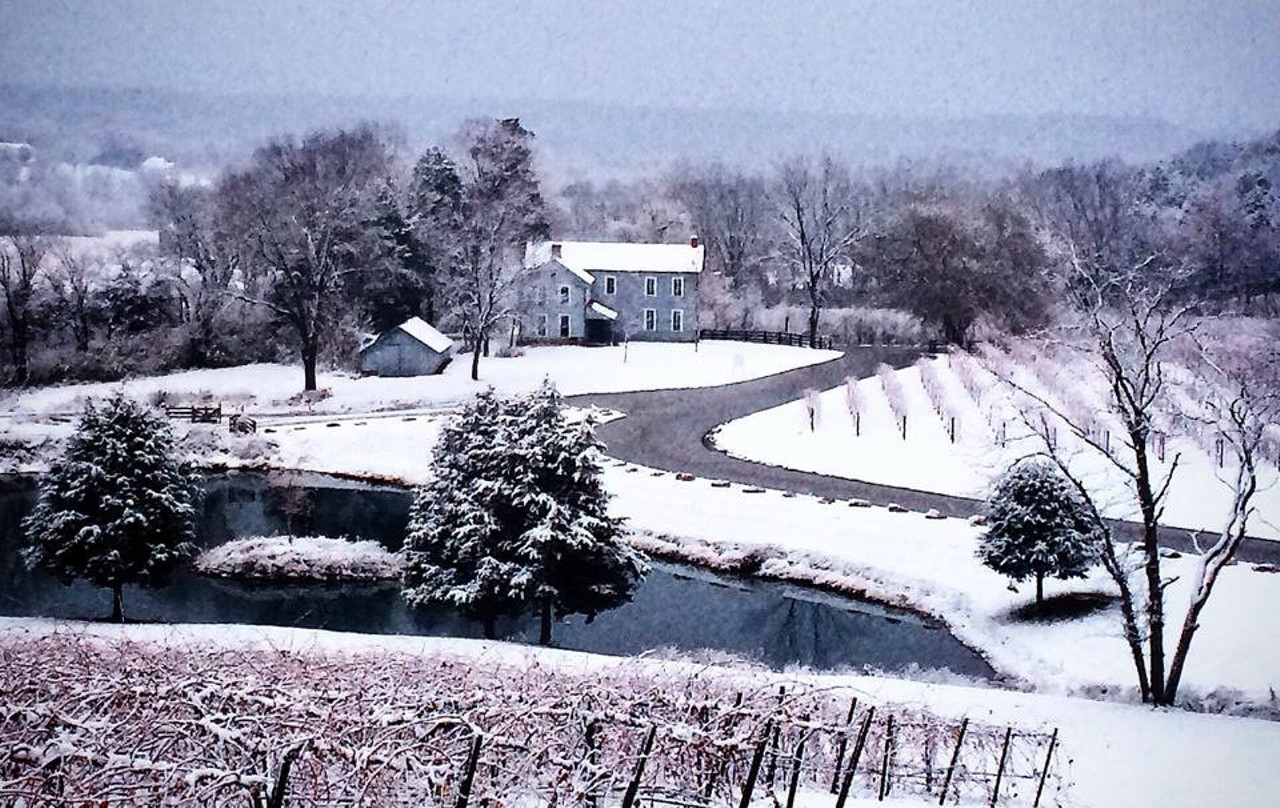 Did we mention that Chandler Hill Vineyards is open all year? The vineyards are so gorgeous under a blanket of snow that you may just forget that you hate winter. Photo courtesy of Chandler Hill Vineyards.