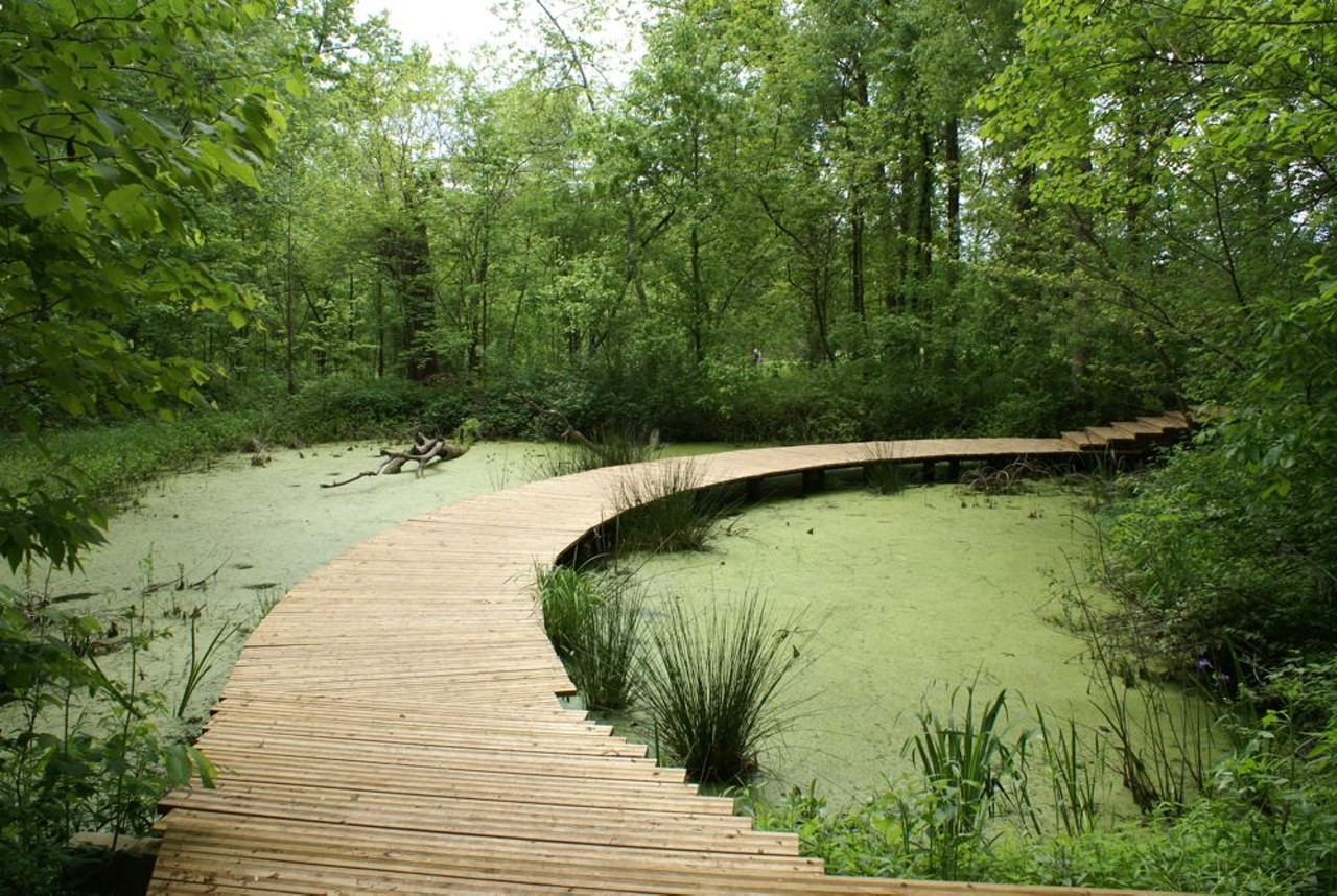 The variety of trails at Shaw Nature Reserve accommodate various skill levels. You can also venture to the wetlands, where you can get an up-close look at aquatic plant and animal life. Photo courtesy of Flickr / Rick Mester.