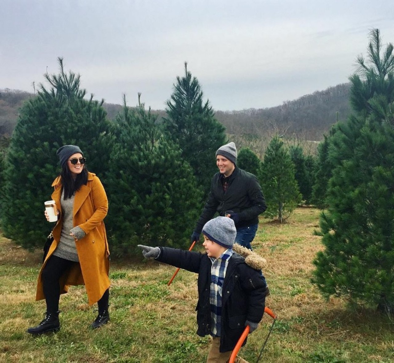 Pea Ridge Forest
22735 Tree Farm Rd. 
Hermann, MO 65041
(636) 932-4687
This family-owned and operated tree farm has it all for the perfect Christmas outing, including a hayride out to the fields, the opportunity to cut your own Christmas tree and homemade baked goods. And, yes, you can indulge in a little wine from the area wineries while you're there. Merry Christmas indeed. Photo courtesy of Instagram / megebaughfaris.