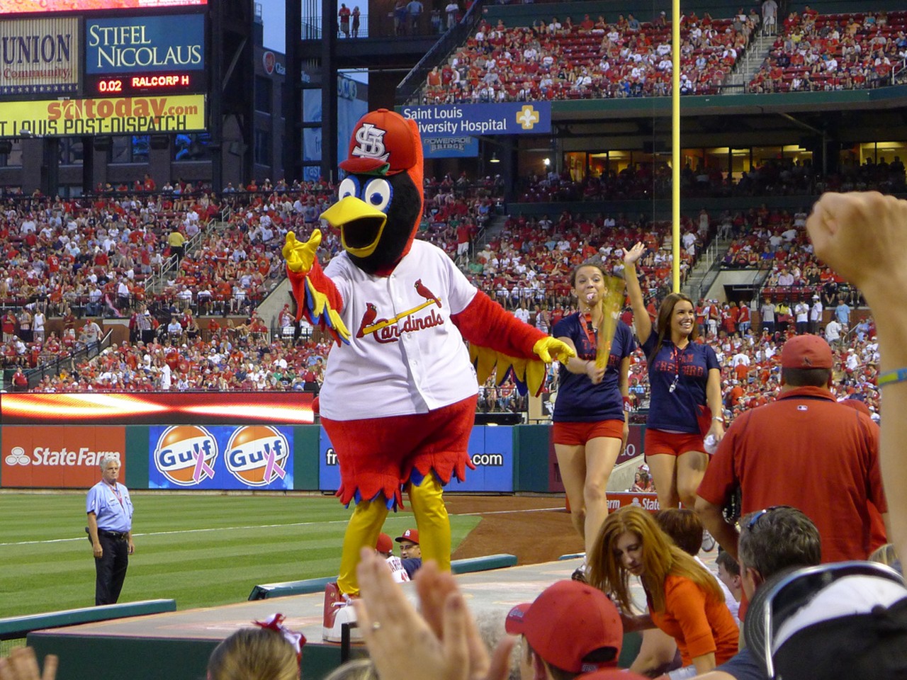 Fredbird, the St. Louis Cardinals' mascot draws attention to