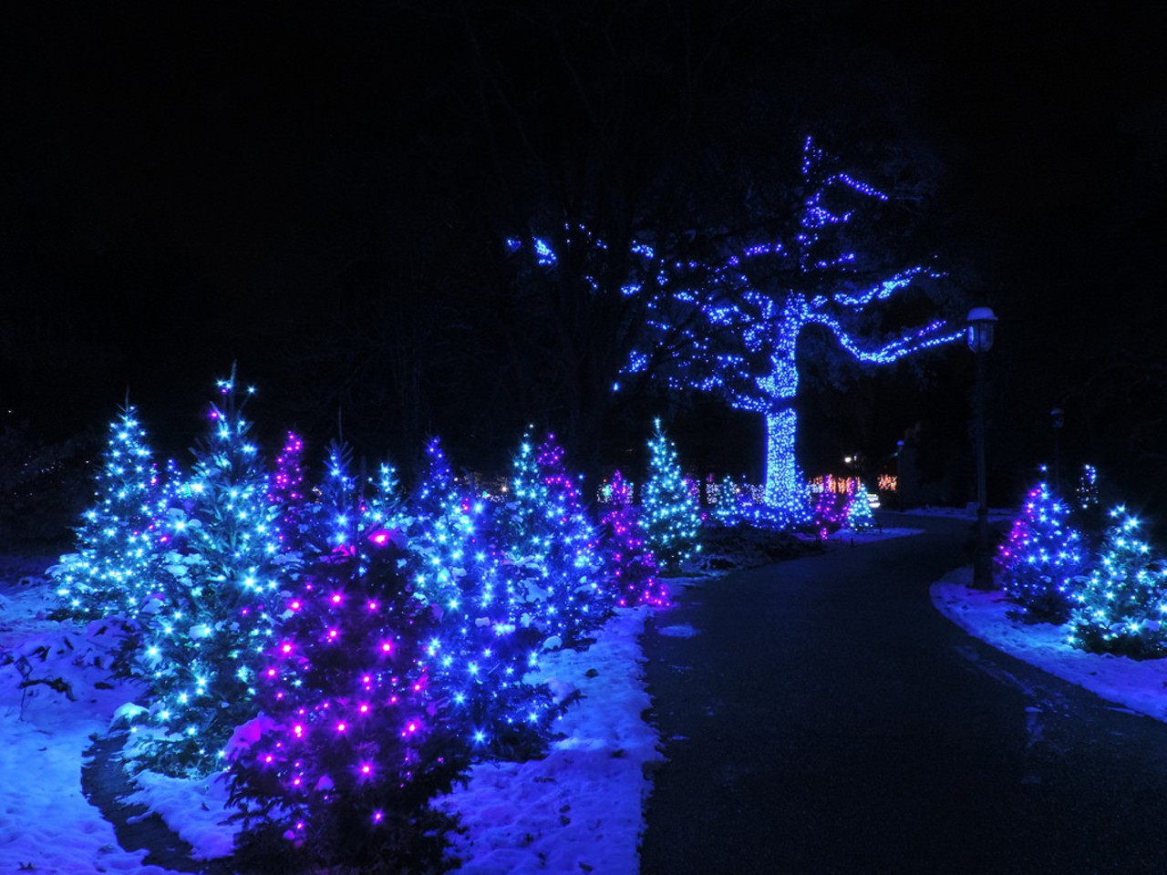 Garden Glow
Missouri Botanical Garden
4344 Shaw Blvd.
St. Louis, MO 63110
(314) 577-5100
November 18 to January 1
Garden Glow has quickly become a favorite St. Louis tradition with its millions of lights taking over the Missouri Botanical Garden. Interactive photo ops, food and drinks, holiday music and more are also part of the fun. Prices and schedule vary; click here for details. Photo by Tom Incrocci. Photo courtesy Missouri Botanical Garden.