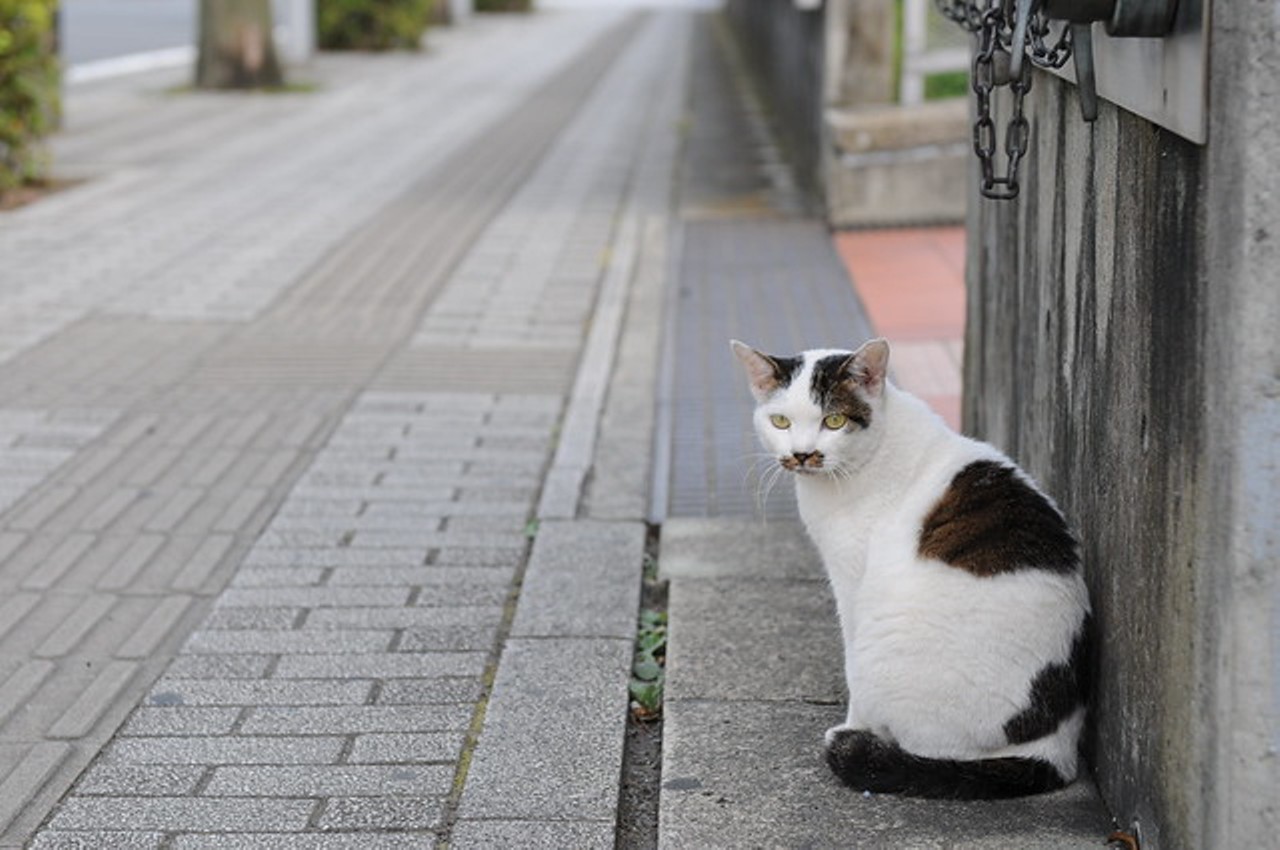 The pervert community returns to the sidewalks with new catcalls. (Really, guys?) 
Photo credit: Hisashi / Flickr