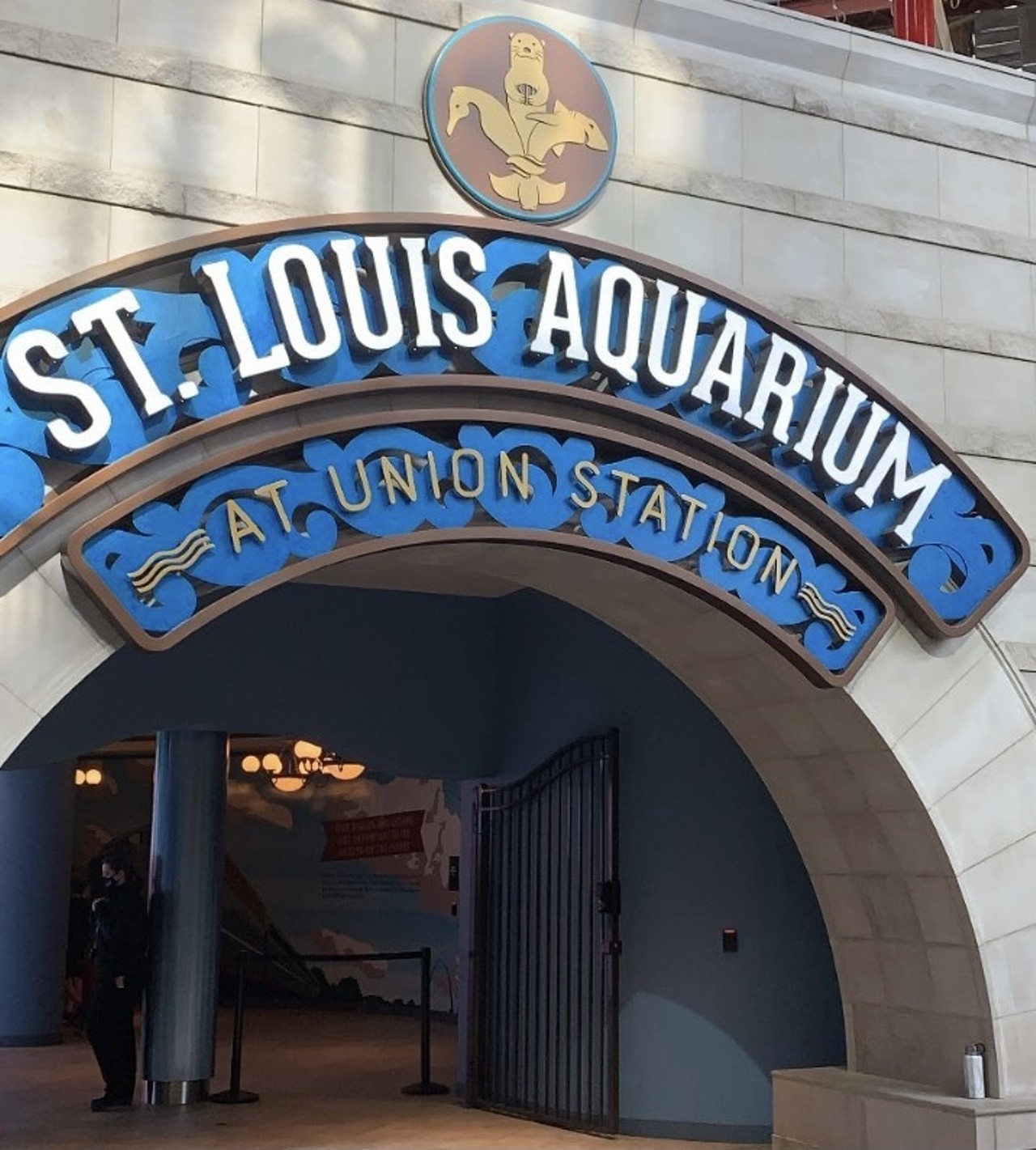 St. Louis Aquarium
Located in St. Louis Union Station (201 S 18th Street)
General admission $25 for adults and $18 for children 3-12
Photo credit: Riverfront Times / @riverfronttimes on Instagram