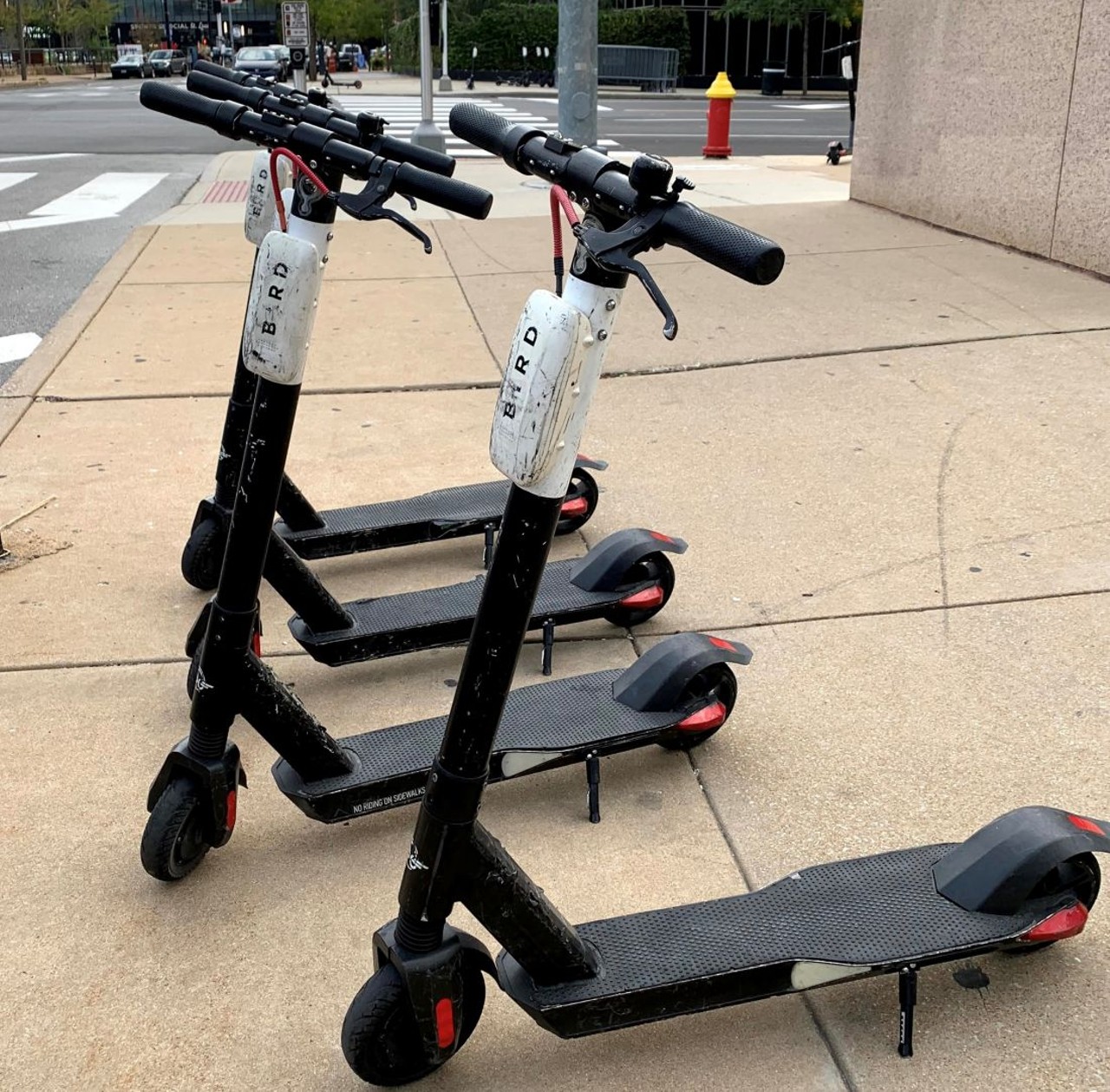 Bird City Scooters
Located through St. Louis especially Downtown St. Louis and Forest Park
Bird Scooters cost $1 for base fare and then $0.15 per minute
Photo credit: Riverfront Times / @riverfronttimes on Instagram