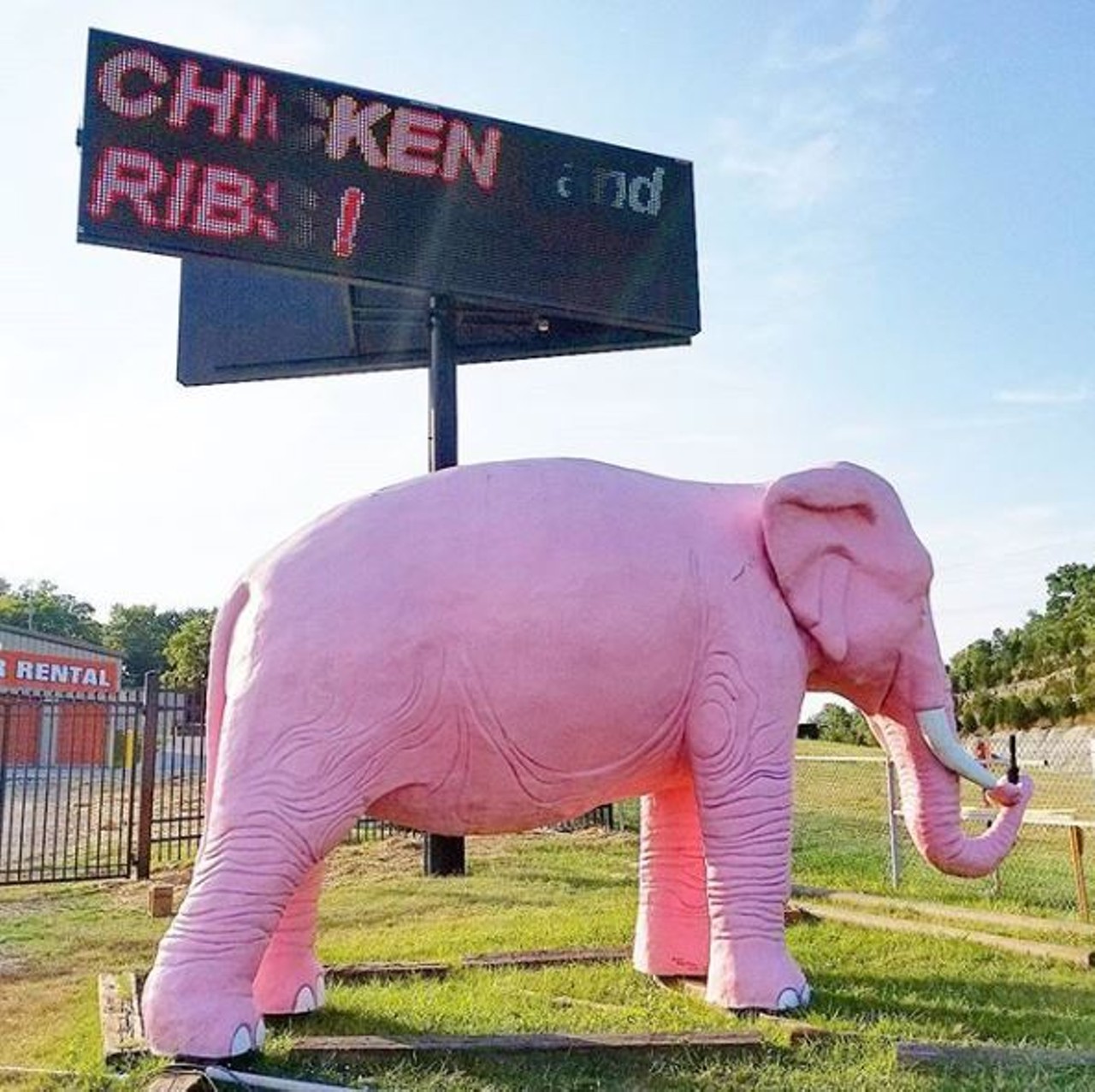 Big Pink Elephant
2599 Missouri 141, Fenton, MO
Want to have a weird photo shoot? Stop off the highway in Fenton and pose with the big pink elephant. She'll give your selfies a surreal quality.
Photo courtesy of jenmariesboutique / Instagram