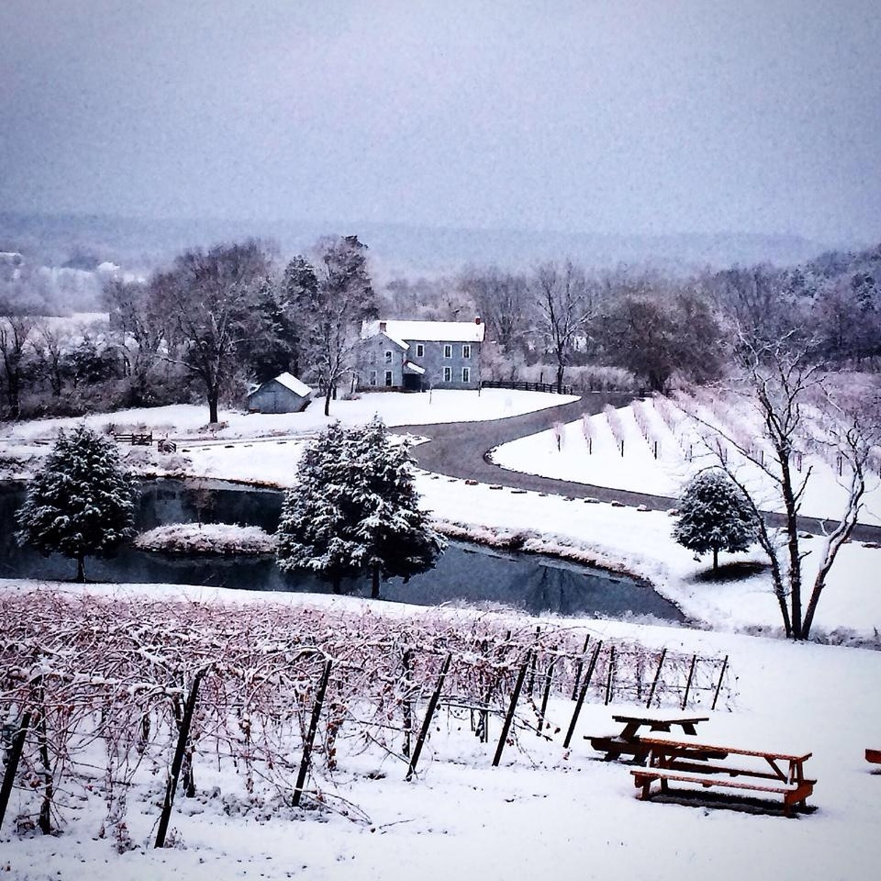 Sip some wine at one of the area's beautiful wineries.
Why only give our nearby wineries love during the summer and fall? These places are an experience in the winter as well -- just look at how gorgeous Chandler Hill Vineyards (596 Defiance Road, Defiance) looks covered in snow. Plus, wine tastes great all year round. Make a trip to Defiance, Augusta or Hermann and sip the day away. Photo courtesy of Chandler Hill Vineyards.