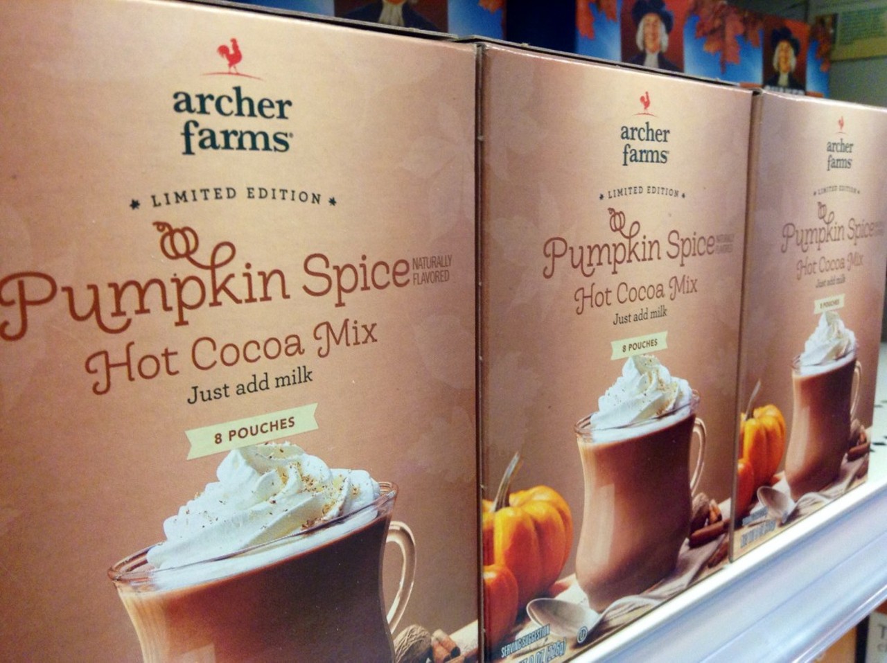Pumpkin Spice Hot Cocoa Mix
Flickr/Mike Mozart