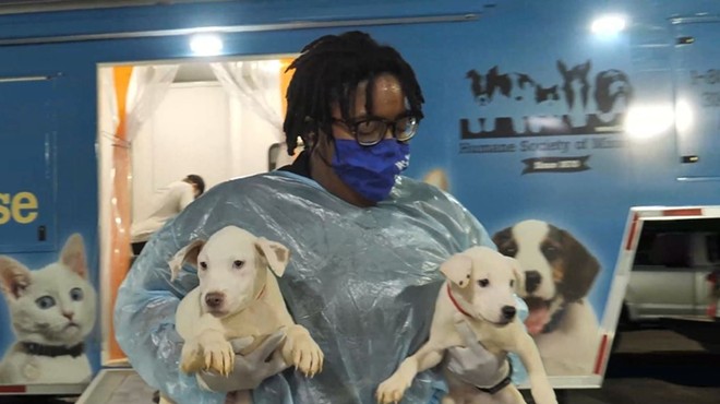 Two pups rescued in Louisiana by the Missouri Humane Society.
