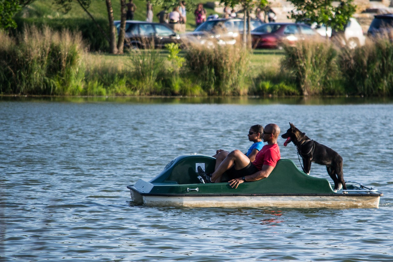 Paddle a boat in Forest Park.
Post-Dispatch Lake is calling.
Photo courtesy of Steve Krave / Flickr