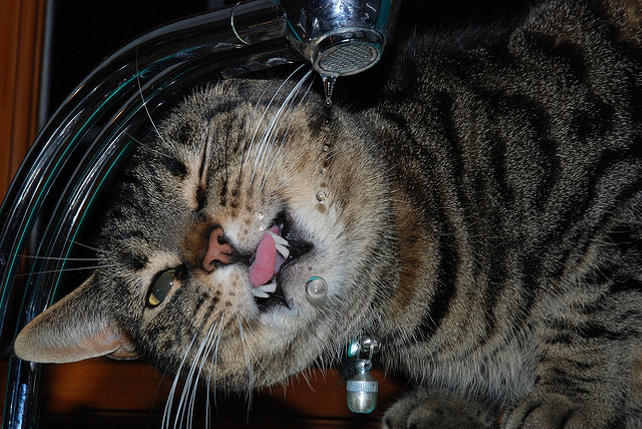 Tap water so fantastic we want to drink it like this. Photo courtesy Flickr/Cloudzilla