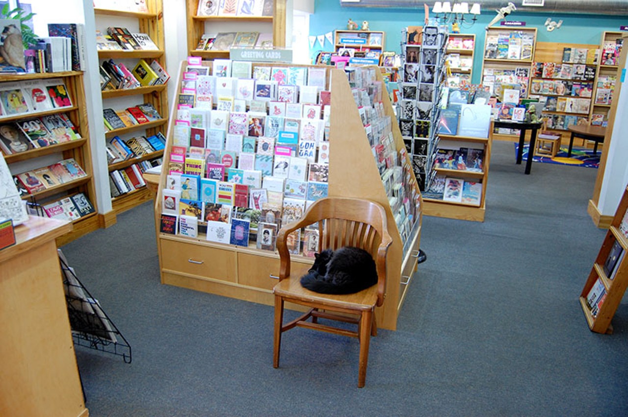 The store cat, Spike, "enjoys long naps on the Special Orders desk, dancing for cat treats and shoplifting mouse-sized, furry covered children's books for his own pleasure."