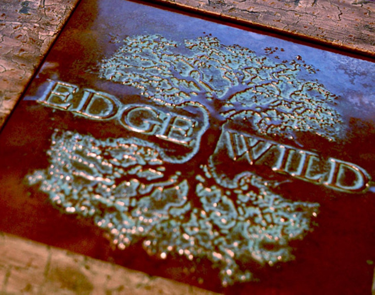 A First Look at EdgeWild
