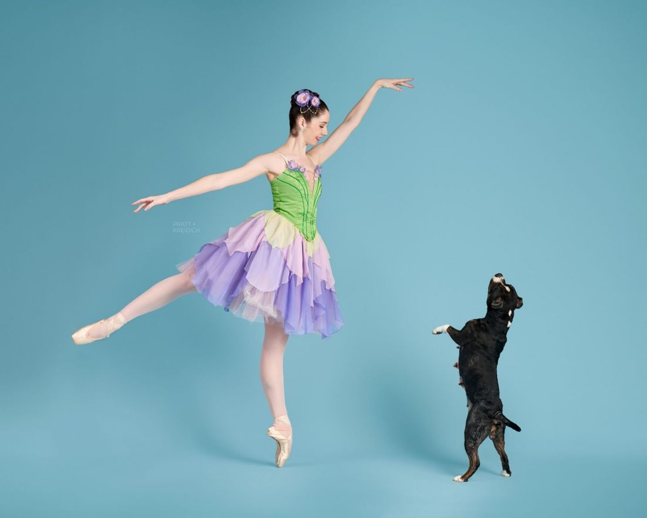 Adoptable St. Louis Dogs Met with Nutcracker Ballerinas and It Gave Us Feelings