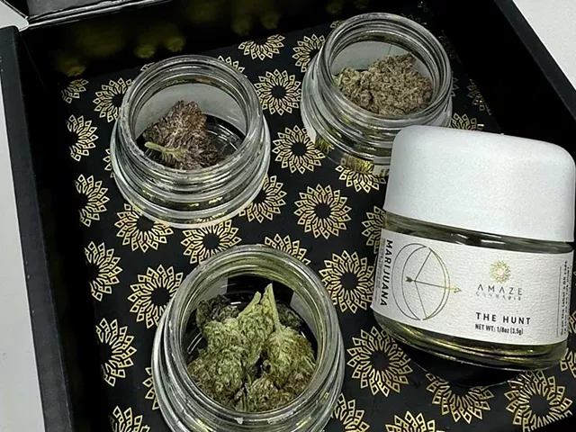 In the Hunt Box you get four strains of weed each with the same parents, but wildly different phenotypes.